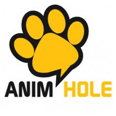 AnimHole