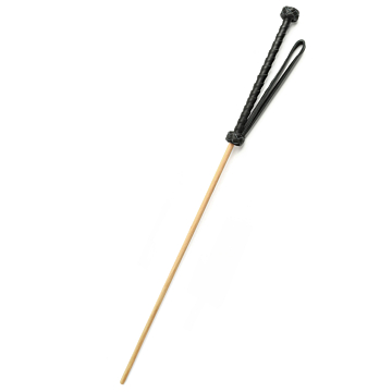 Hidden Desire The Obedience Cane - Black