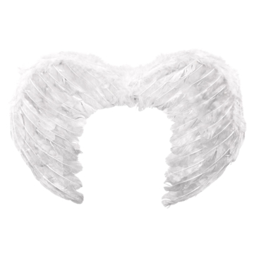 Kinksters White Wings 44x36cm