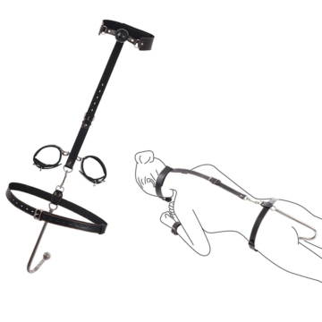 Passion Labs Black Restraint System