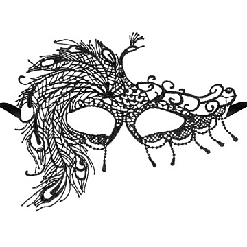 Black soft embroidered lace mask