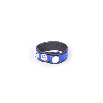 Rainbow Leather Cock Or Ball Strap - Black & Blue