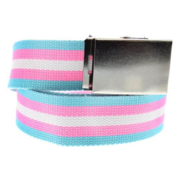 Diverse Canvas Belt with Silver Buckle