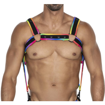Neo Harness Black-Rainbow OS