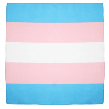 Transgender Flag Bandanas - Multi Color