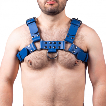 Kinksters Blue Leather Harness