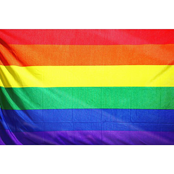 Kinksters Pride Flag 60x90cm