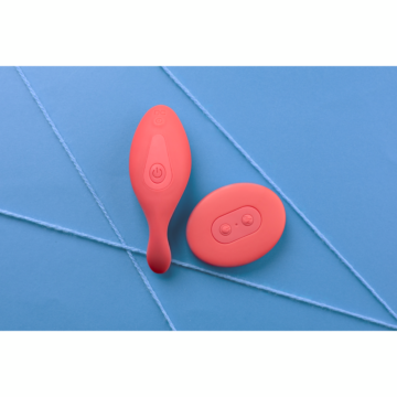 Panty Vibrator with Remote Control - Brighto