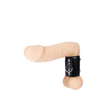 Men's Expert Ball Stretcher L