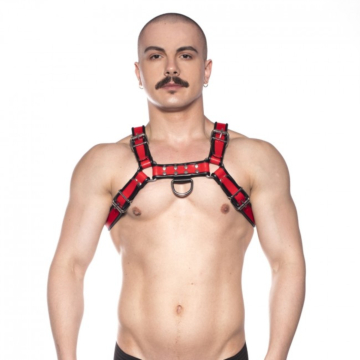 Prowler RED Bull Harness - Black/Red