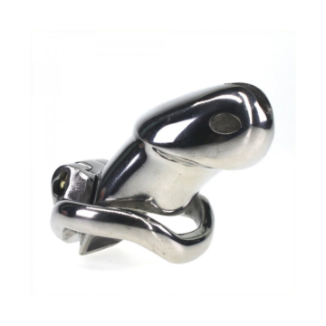 Kinkster's Metal Chastity Cage