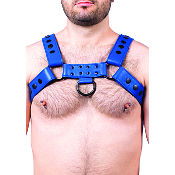 Kinksters Blue Leather Harness