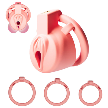 Super Cute Pussy Chastity Cage Pink