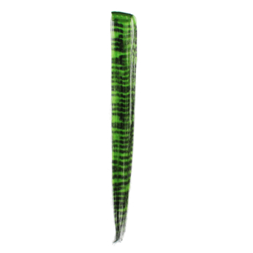 Green Zebra Hair Highlights/Extensions
