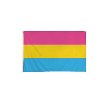 5x3Ft Pansexual Flag - Multi Color with Brass Eyelets