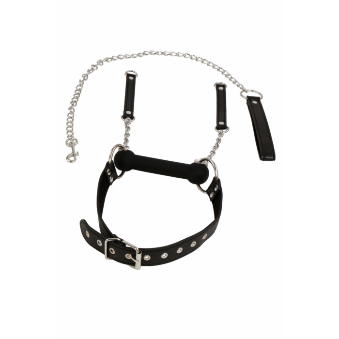 Bit gag + leash Bit gag + leash