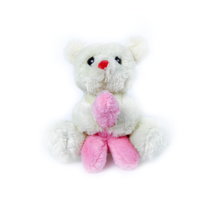 Soft toys-Bear Penis Small