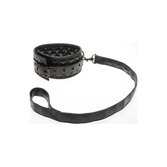 Quilted Collar with Leash Quilted Collar with Leash