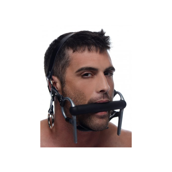 Steed Head Harness Steed Head Harness